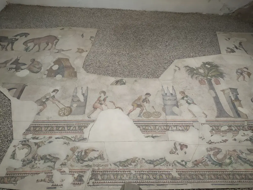 博物馆最大的马赛克