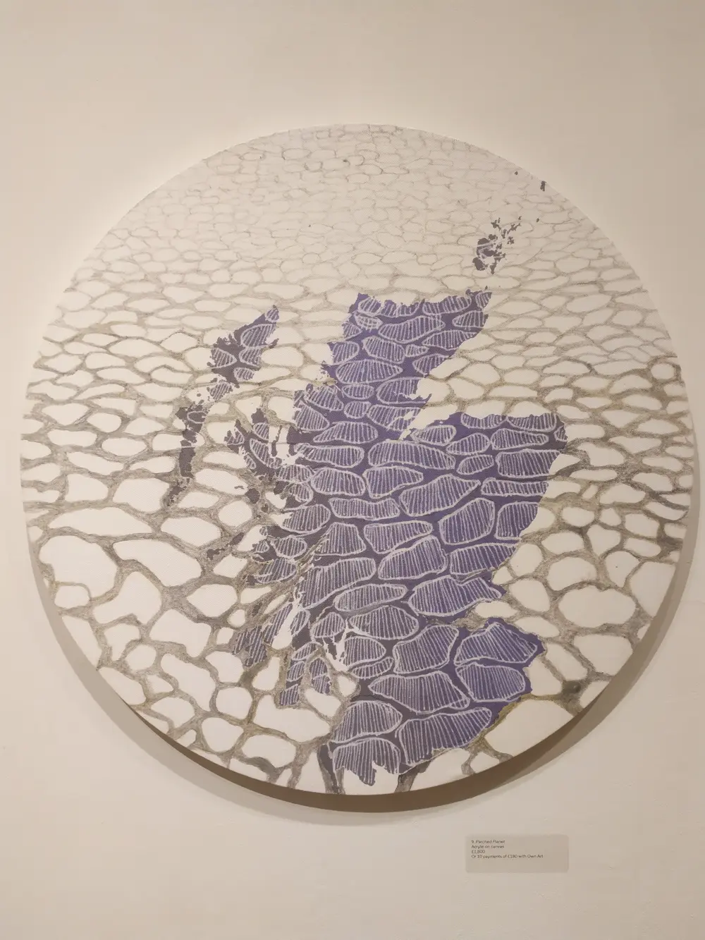 Sam Ainsley, Parched planet, 2017