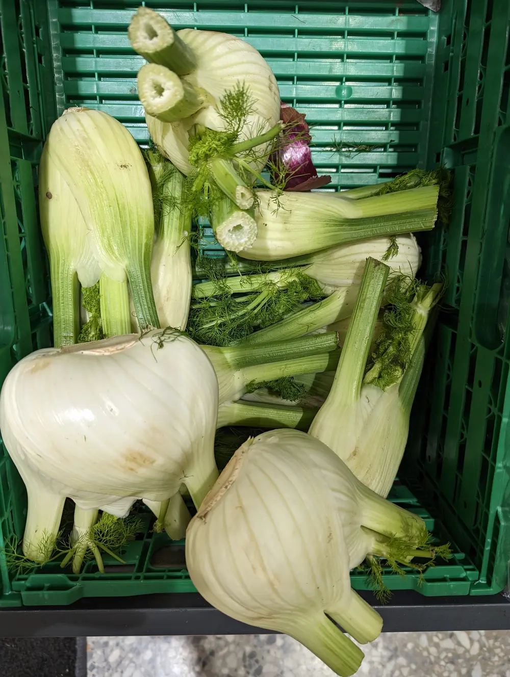 超市里的Fennel
